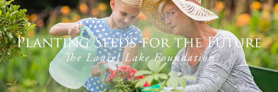 Laurel Lake Foundation Banner