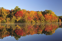 Fall foliage at Rider Lake