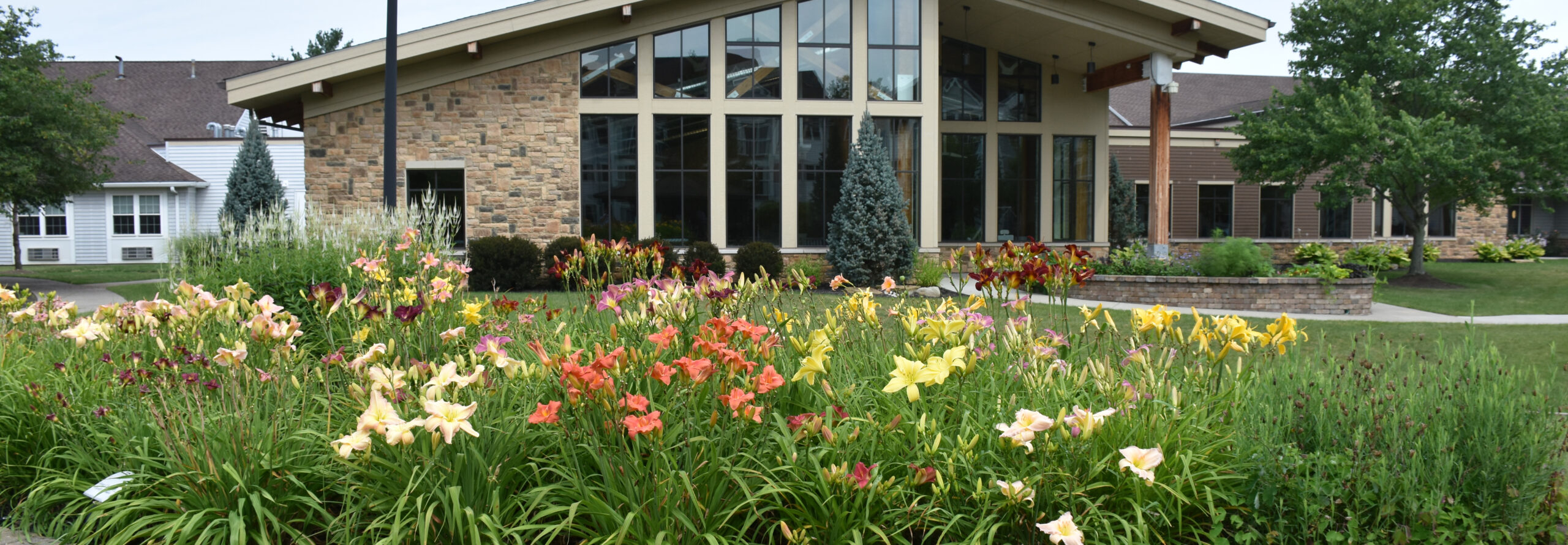 Greenwood courtyard DSC 3330 Shorter